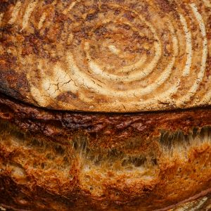 Home Hearth Loaves: Country Crust, Open Crumb